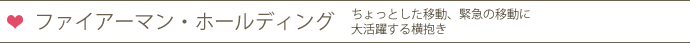 ファイヤーホールディング