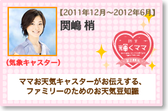 気象キャスター 関嶋 梢
