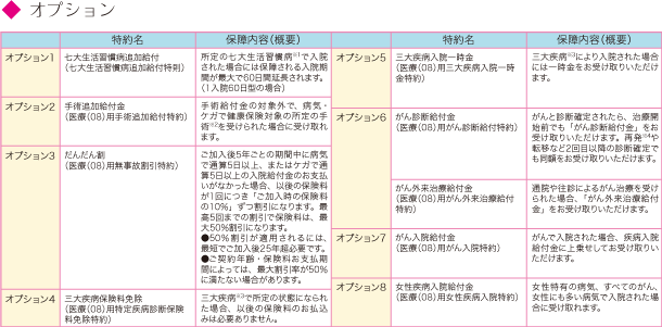 オプション一覧