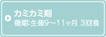 カミカミ期 後期：生後9～11ヶ月 3回食