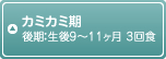 カミカミ期 後期：生後9～11ヶ月 3回食