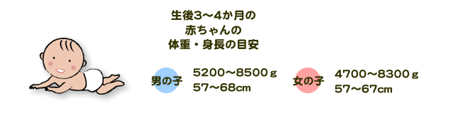 生後3～4か月の赤ちゃんの体重・身長の目安