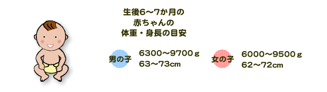 生後6～7か月の赤ちゃんの体重・身長の目安