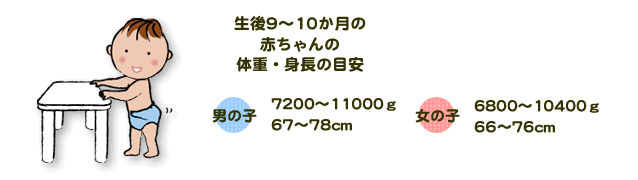 生後9～10か月の赤ちゃんの体重・身長の目安