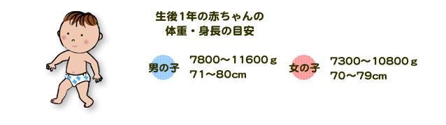 生後1年の赤ちゃんの体重・身長の目安