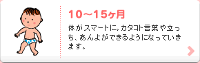 10?15ヶ月