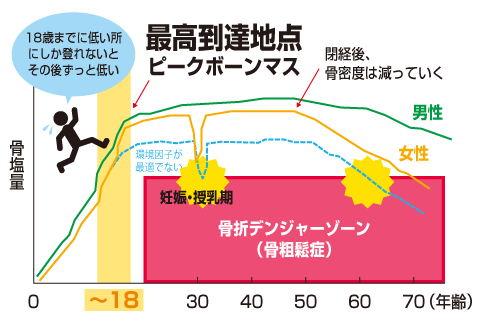 子どもの骨を育てよう｜事故・ケガ（子どもの病気）の教えて！ドクター