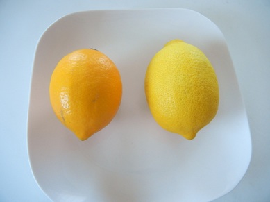 lemon 002.JPG