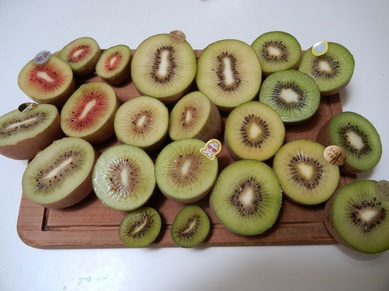 kiwi 004.JPG