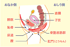 img06.gifのサムネール画像