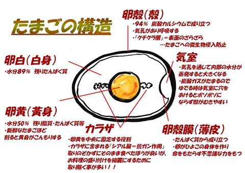 栄養たっぷり たまご 輝くママ ハッピー ノート Com