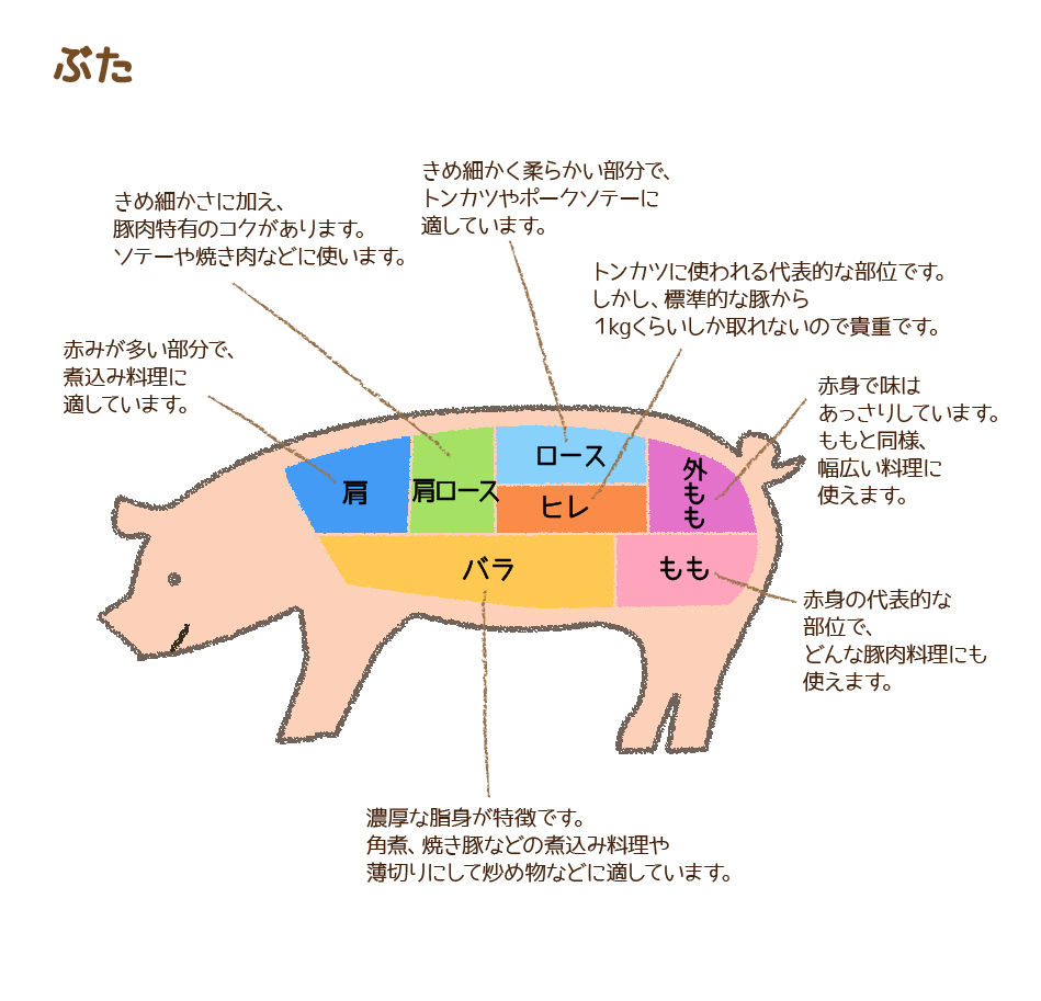 niku_parts画像2（ぶた）.jpg