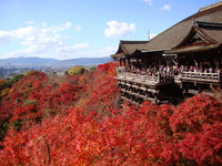 kiyomizudera5.jpg