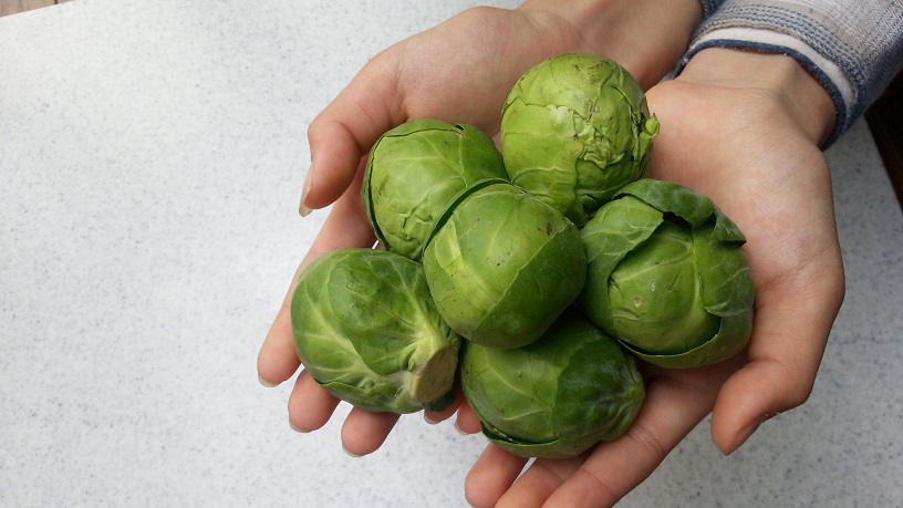 冬の優れ野菜 芽キャベツ 輝くママ ハッピー ノート Com 冬の優れ野菜 芽キャベツ 輝くママ ハッピー ノート Com