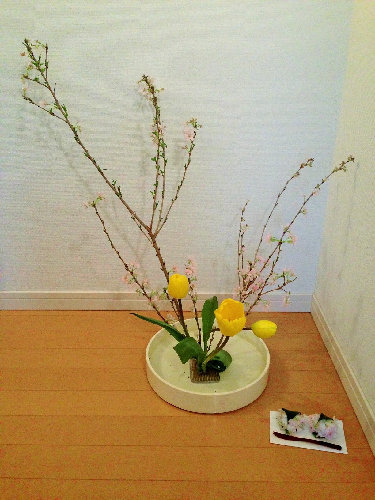 親子で生け花 桜にしますか 桜餅にしますか 輝くママ ハッピー ノート Com