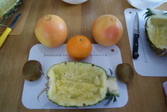 DSC01487-1.JPG