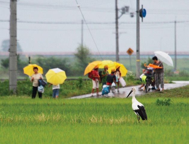 兵庫県　豊岡市