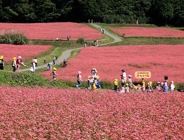 長野県　箕輪町