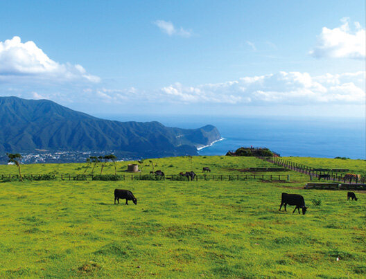 東京都　八丈町（八丈島）