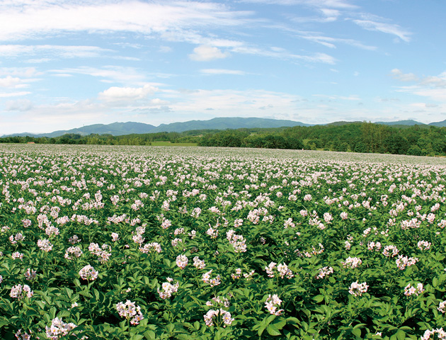 北海道厚沢部町