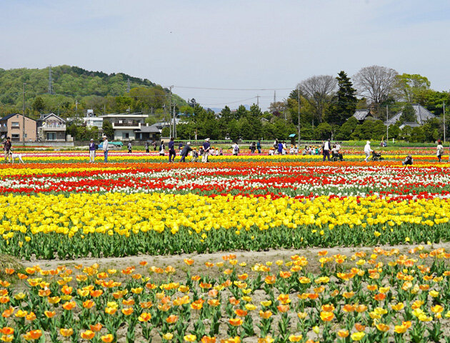 羽村市