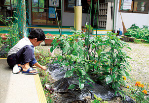 農業を通した食育を