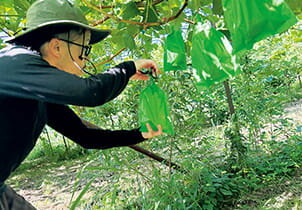 地元企業の就職を後押し