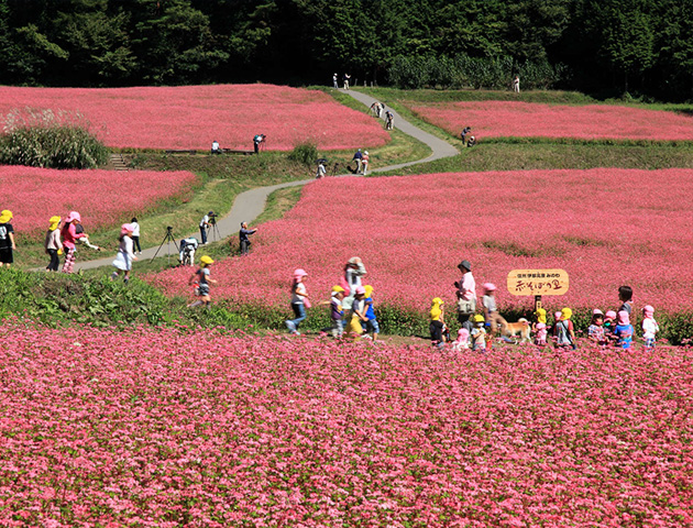 長野県箕輪町