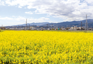 エリアごとに異なる住環境