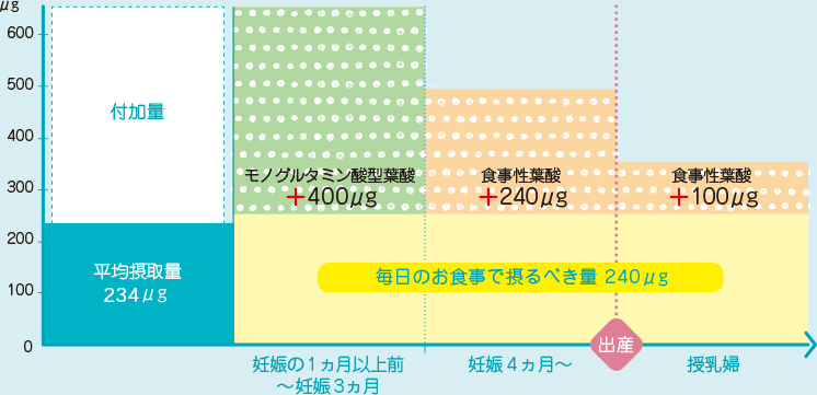 葉酸 や 鉄分 など 妊娠中に摂るべき摂取量が時期によって異なることを知っていますか ハッピー ノート Com