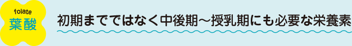 葉酸：初期までではなく中後期～授乳期にも必要な栄養素