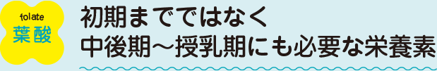 葉酸：初期までではなく中後期～授乳期にも必要な栄養素