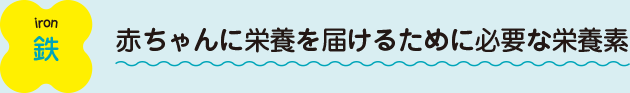 鉄：赤ちゃんに栄養を届けるために必要な栄養素