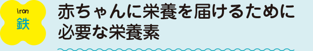 鉄：赤ちゃんに栄養を届けるために必要な栄養素