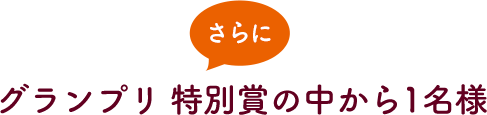 グランプリ 特別賞の中から1名様