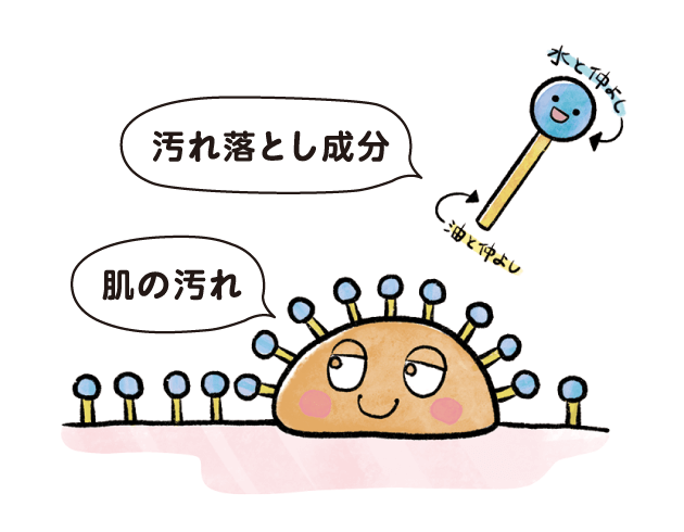 「油汚れのまわりに“汚れ落とし成分”の「油と仲良し」部分が吸着。」のイラスト