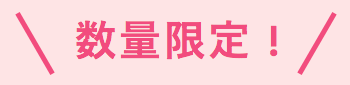 数量限定！