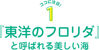 『東洋のフロリダ』と呼ばれる美しい海