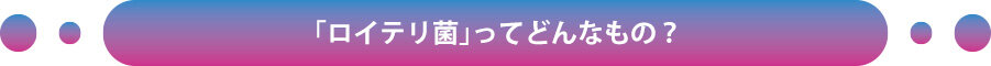 「ロイテリ菌」ってどんなもの？