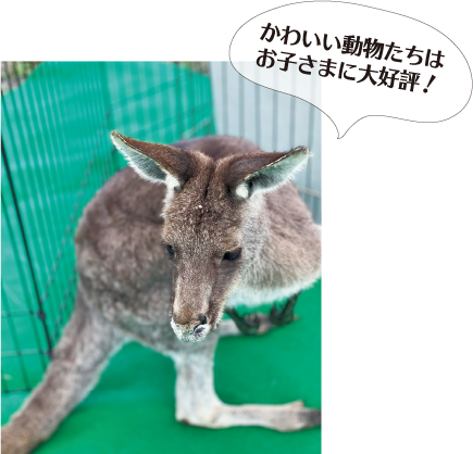 かわいい動物たちはお子さまに大好評！