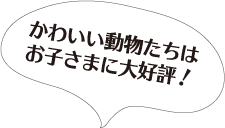 かわいい動物たちはお子さまに大好評！