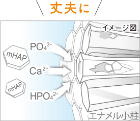 丈夫に
