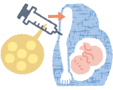 妊婦さんにワクチンを接種するイメージイラスト