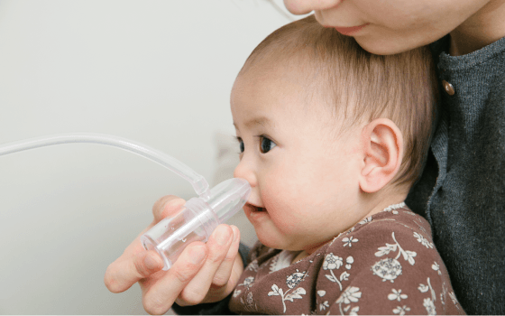 CHIBOJI（知母時）使用画像