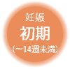 妊娠初期（～14週未満）