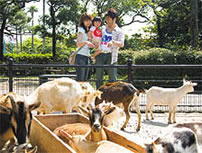 宮崎市フェニックス自然動物園