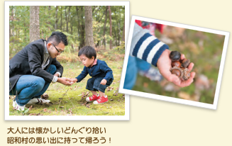 昭和村の思い出のどんぐり